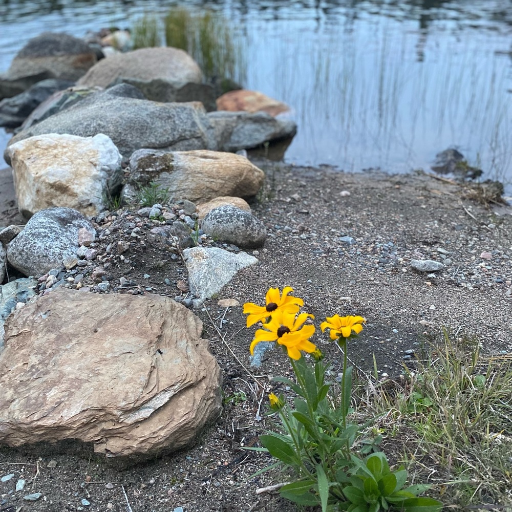 Meet your Posher, Susan